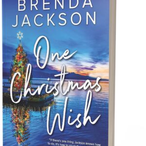One Christmas Wish